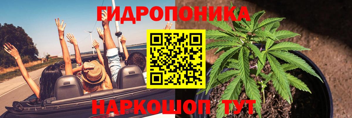 Конопля индика Саянск